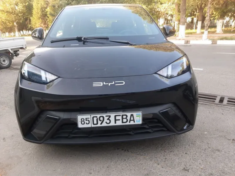 BYD Seagull 405km