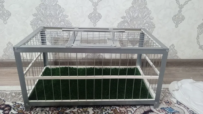 Temir qafas gazon +50000