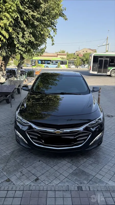 Malibu 2 premier kraskasi tozza 2 Malibu 2 premier kraskasi tozza 2