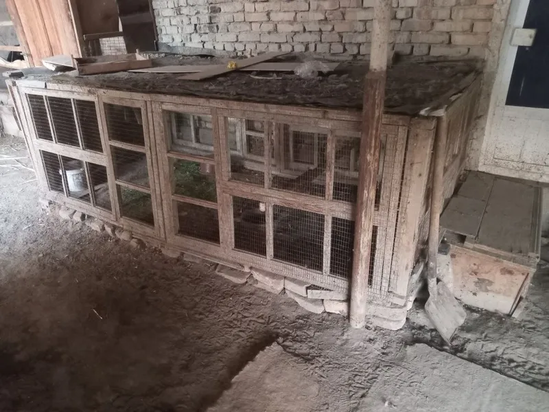 qafas sotiladi 800000 sum buliwi qafas sotiladi 800000 sum buliwi