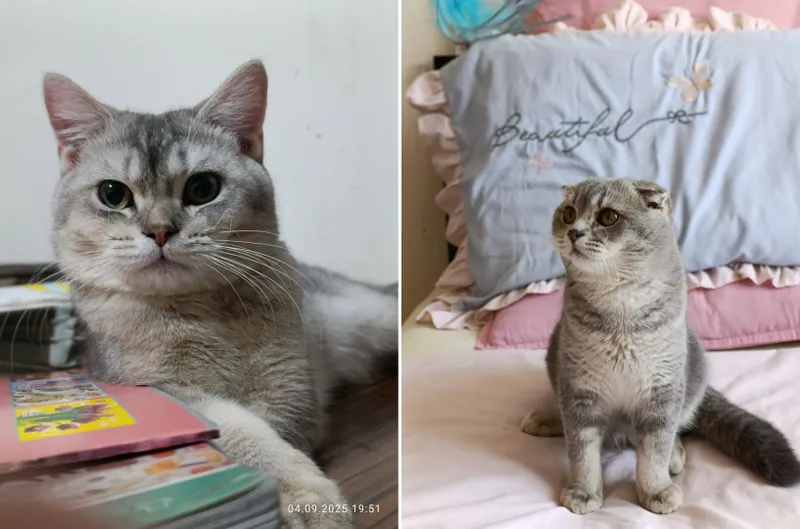 Oyoqlari yoyilgan holda uxlash, külotsiz