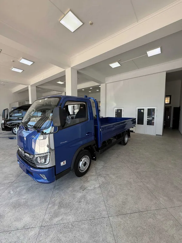 Foton Miler bortovoy 2
