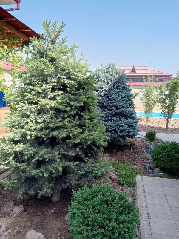 Коттедж 4 комнаты 200м2, 6 соток. Янги Узбекистон — фото 1 Коттедж 4 комнаты 200м2, 6 соток. Янги Узбекистон — фото 1