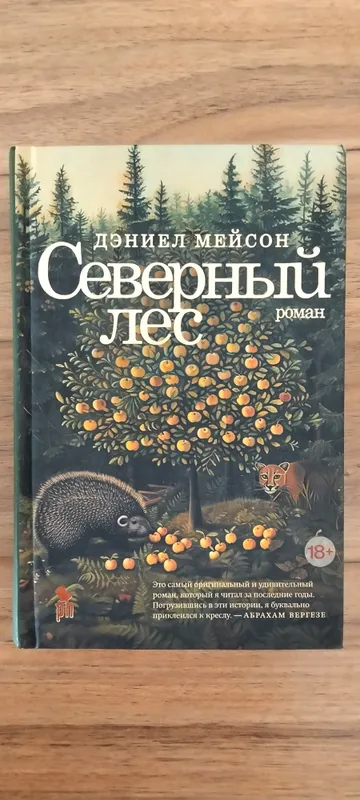Северный лес Даниел Мейсон книга