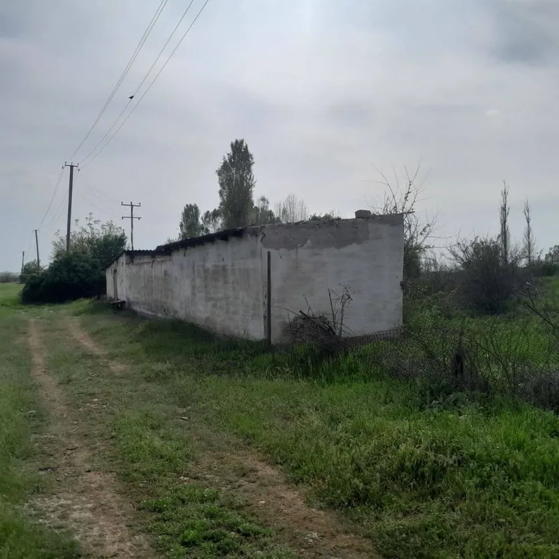Участок пскет Uchastok piskent 4 Участок пскет Uchastok piskent 4