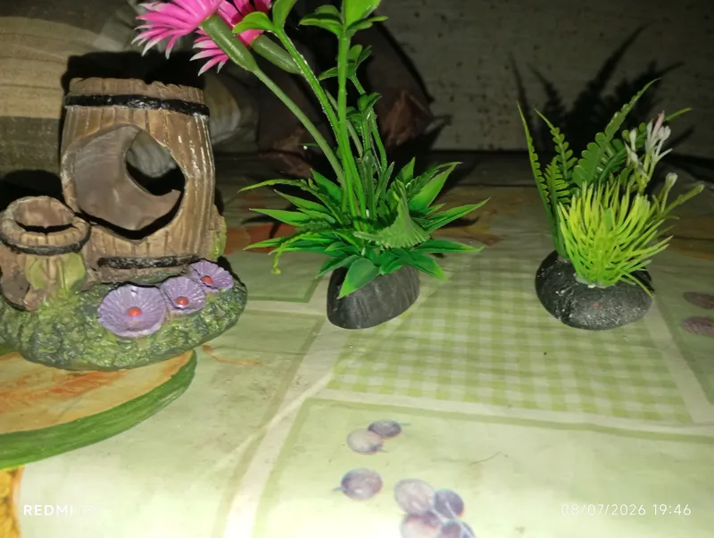 akvarium 2