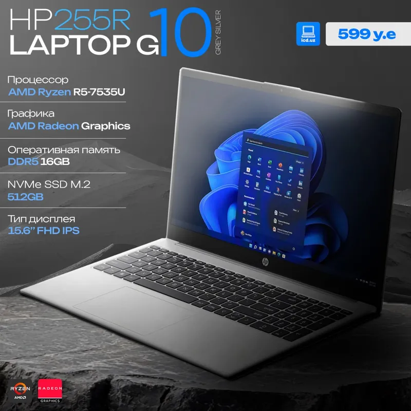 Ноутбук HP 255R G10 Ноутбук HP 255R G10