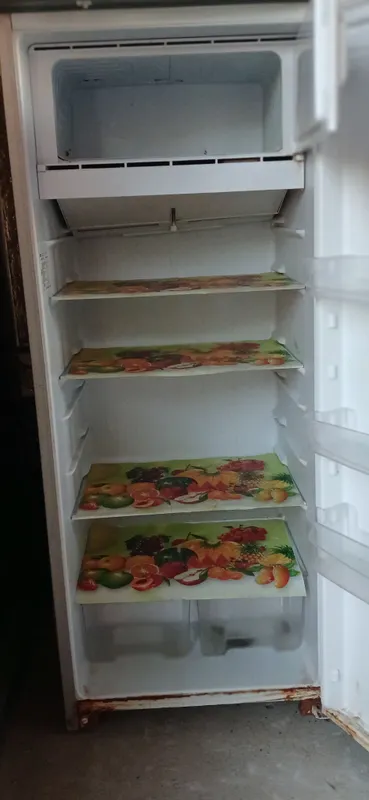 Muzlatkich sotiladi 2000 000 kami bor 1