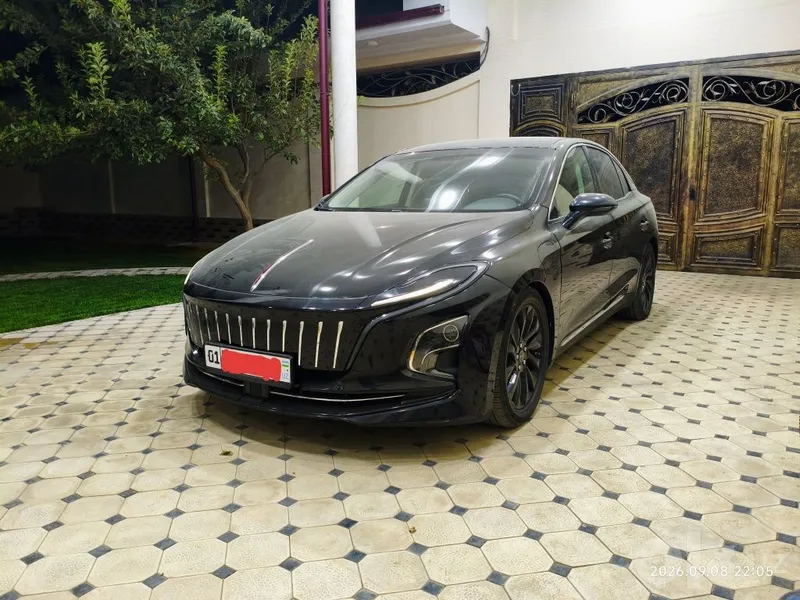 Hongqi eqm5 500 plus 1 Hongqi eqm5 500 plus 1
