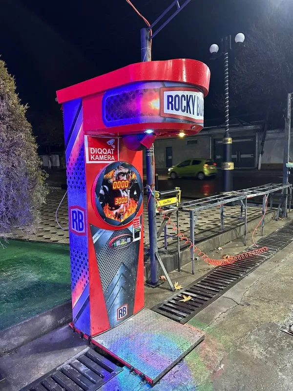 Udarnik | силомерка | Boks aparat — фото 1