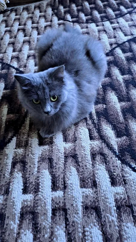 Shaxsiy uy qurilishi porno foto galereyasini tomosha qiling Xlyava jinsiy aloqa