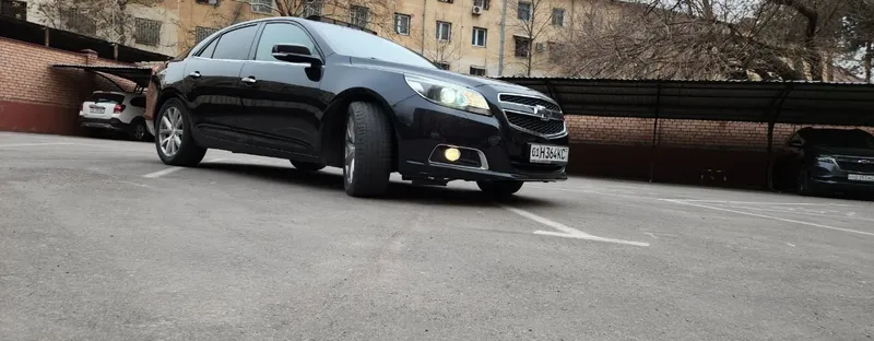 Suxoy arenda сухая аренда — фото 5