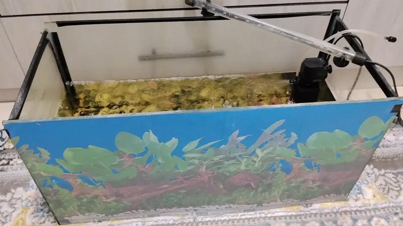 AKVARIUM 1