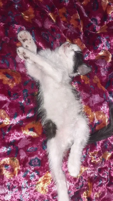 Oshxonada chiroyli qizlar