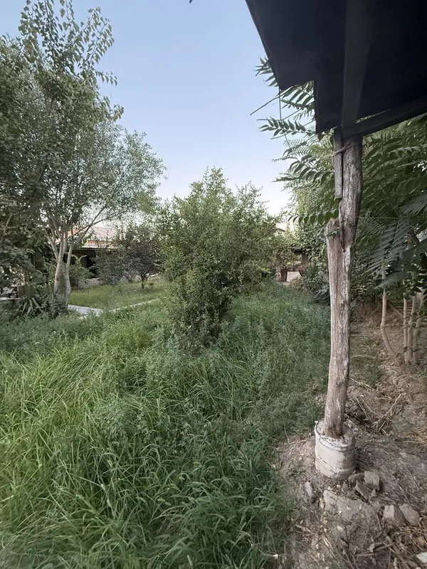 3 xonali dala hovli 7