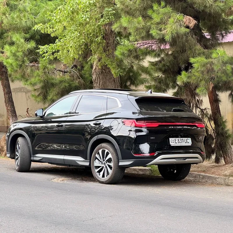 Byd song plus dmi 150 full 2 Byd song plus dmi 150 full 2