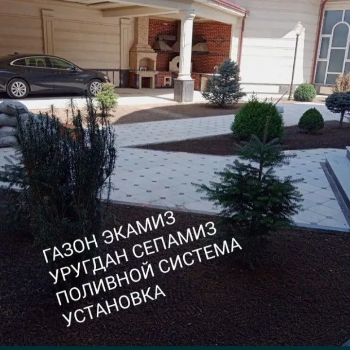 Посев бренд газон рулонные газон Автополив — фото 3