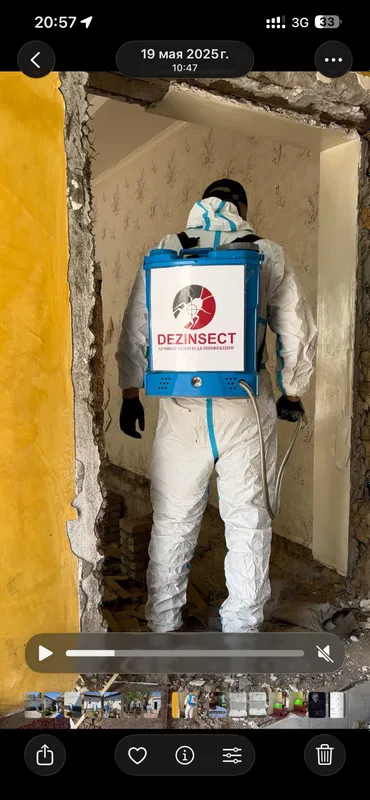 Дезинфекция | Dezenfeksiya | Dizenfeksiya| Dizinfeksiya Таракан клопа — фото 2