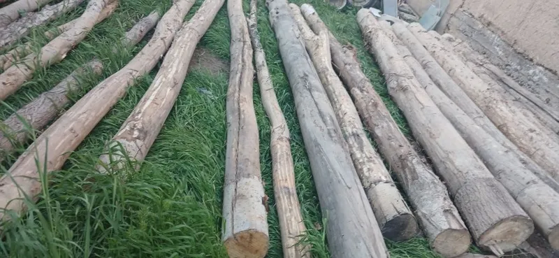 Tosinla bor sotiladigan 2 Tosinla bor sotiladigan 2