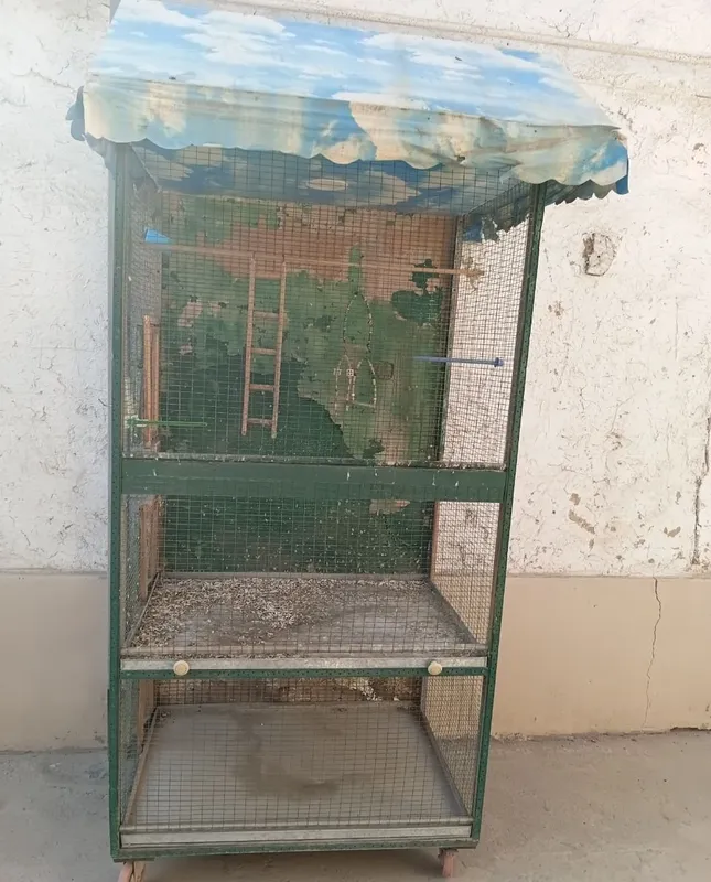Qush qafaslar sotiladi 4 Qush qafaslar sotiladi 4