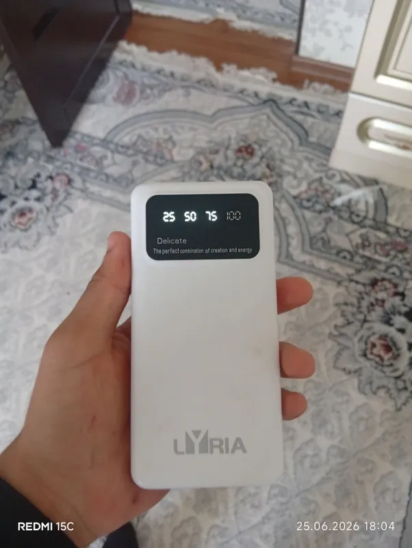 Power bank