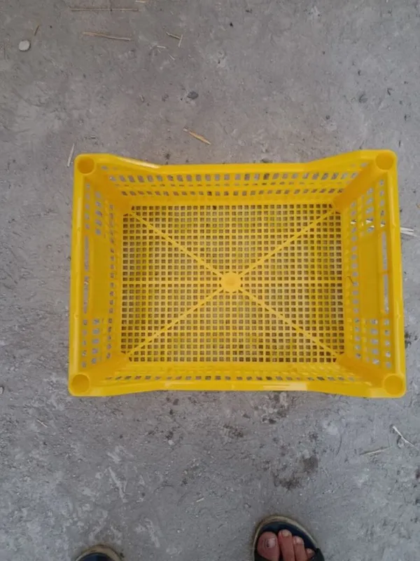 Plastik yashiklar bor 2
