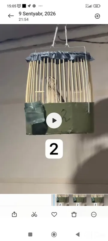 4 ta italya bedana 4 4 ta italya bedana 4