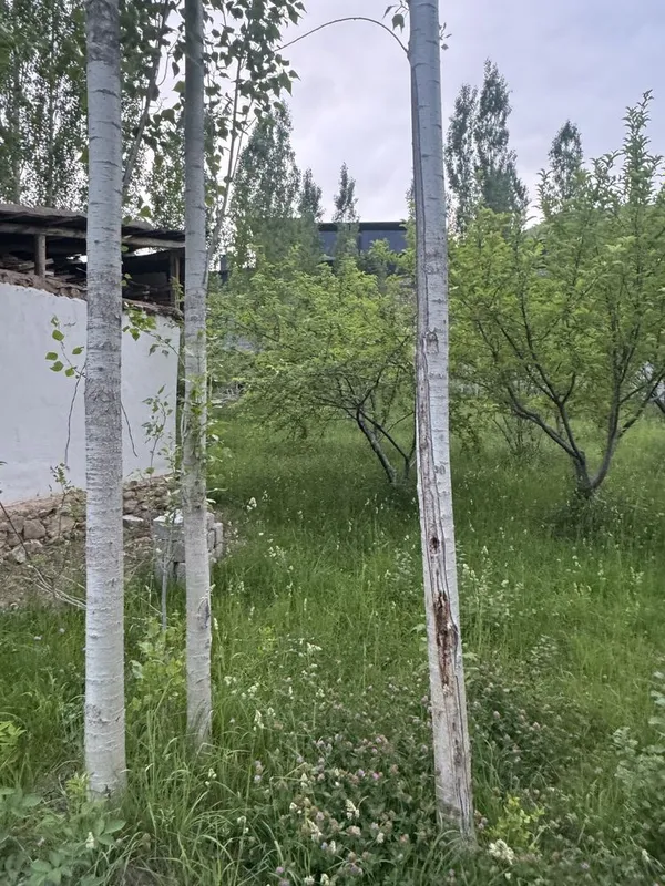 продается участок у собственника в Юсуфхане — фото 4