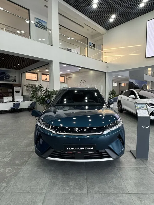 Byd yuan up dm 110 km 1