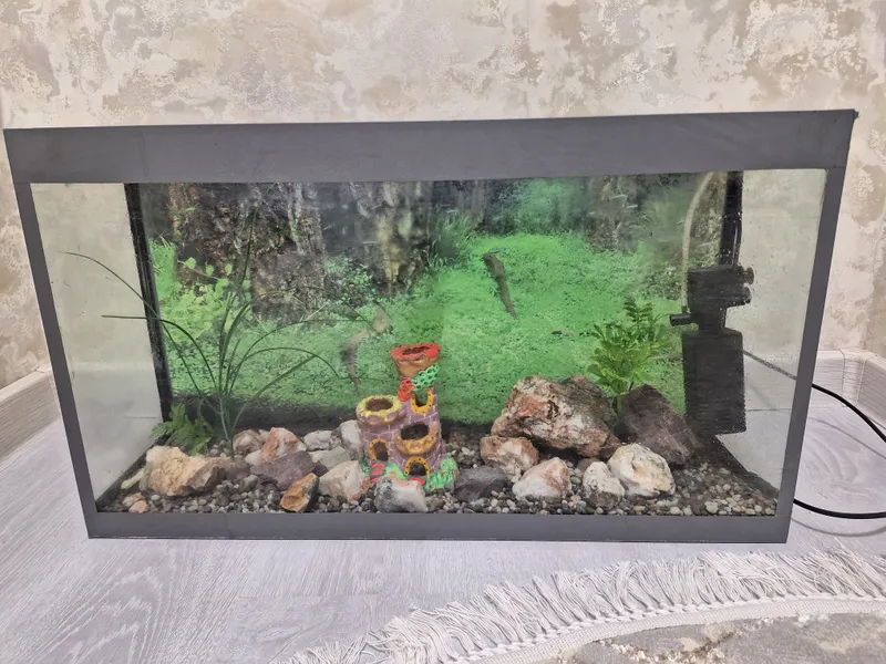 60 litirlik akvarium , holati juda zo'r