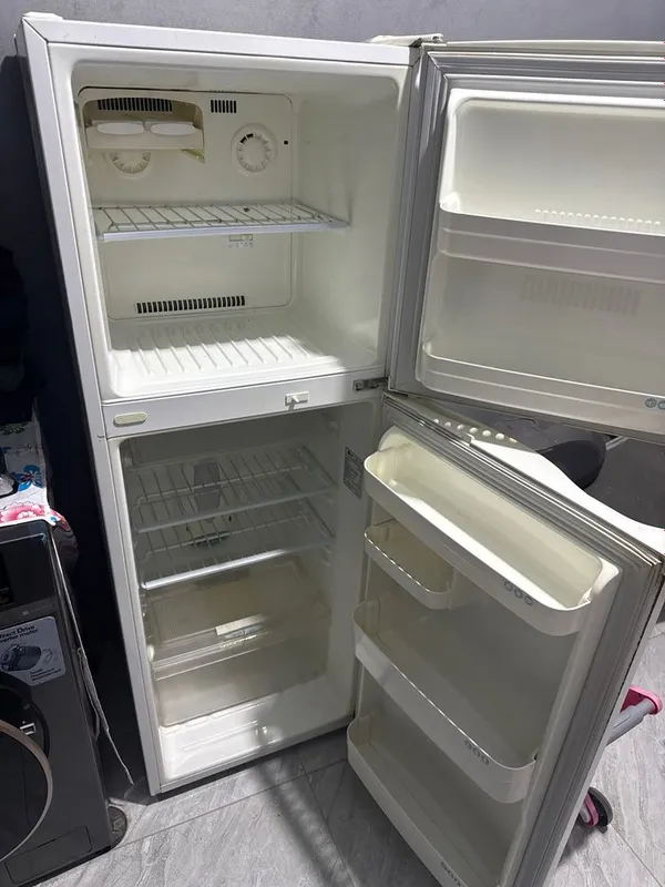 Xadilnik Lg electrocool 2