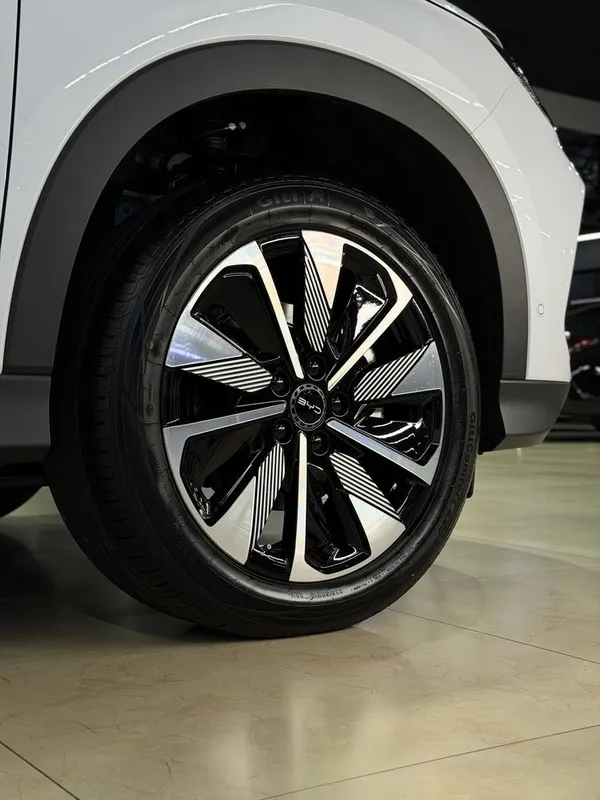BYD Champion Smart Drive 2026 — фото 2