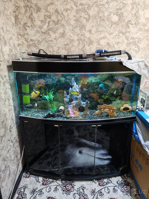 Akvarium 250 litr 1 Akvarium 250 litr 1