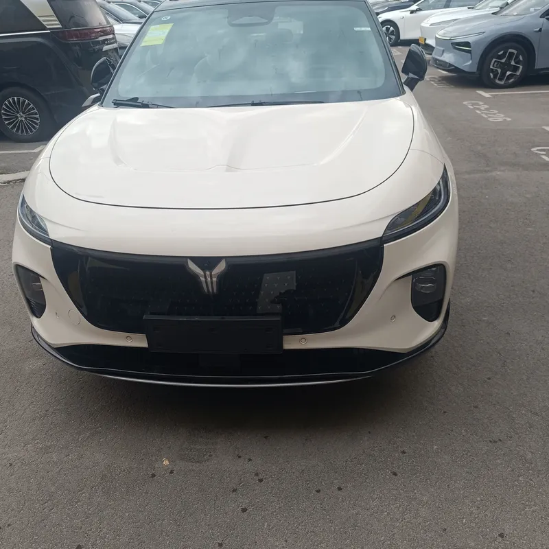 voyah Covrage elektr 570 km 2 voyah Covrage elektr 570 km 2