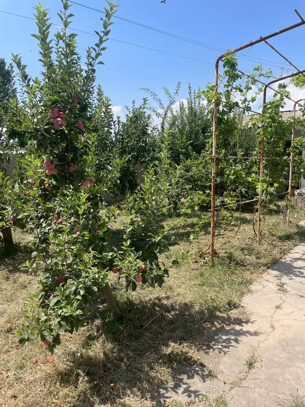 Yer sotiladi uyini  buzb qurib tawlab bowqa quriw — фото 2