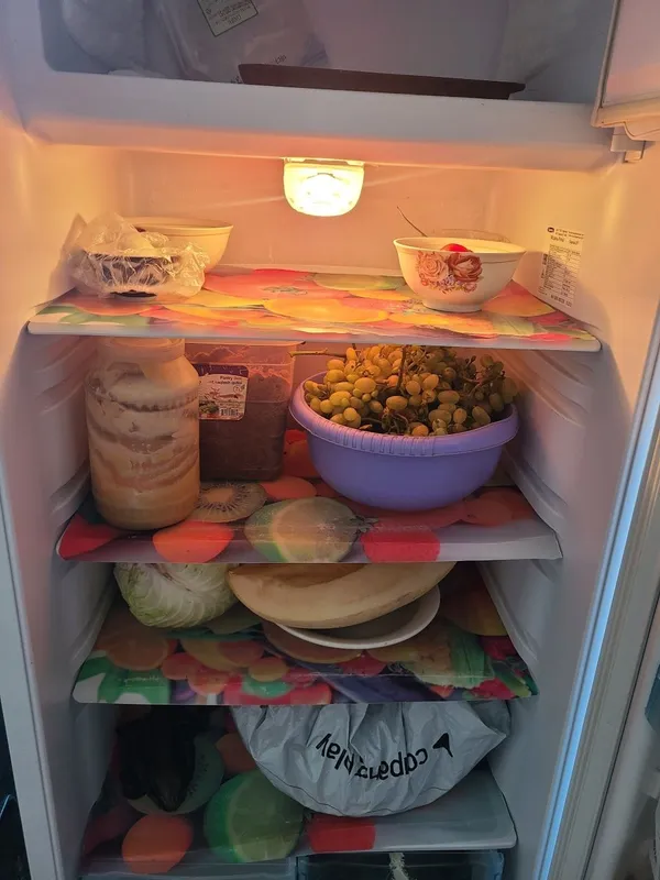Muzlatkich haladilnik 2 Muzlatkich haladilnik 2