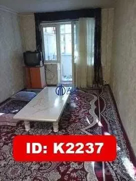 Ijaraga beriladi 2xonalik K2237 Gorgaz tarafda hammaga beriladi 2 Ijaraga beriladi 2xonalik K2237 Gorgaz tarafda hammaga beriladi 2