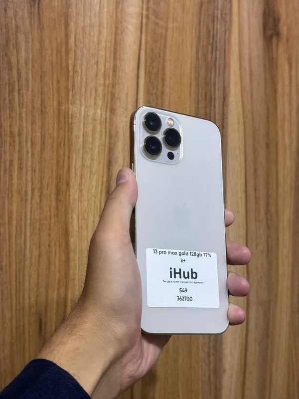 iPhone 13 Pro Max
