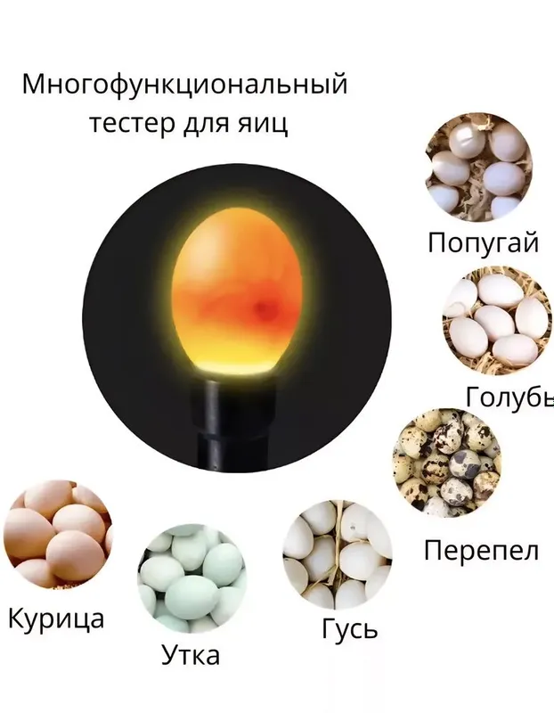 Ovoskop/ Овоскоп/тестер инкубационного яйцо/ инкубатор/ inkubatorga — фото 2