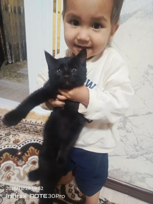 mushukcha mehribon insonlarga beriladi 7