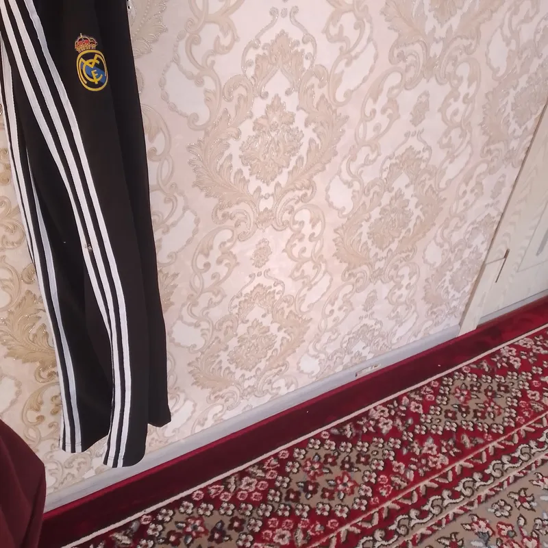 dvoyka tepa pasti bor maktab forma uchunham buladi