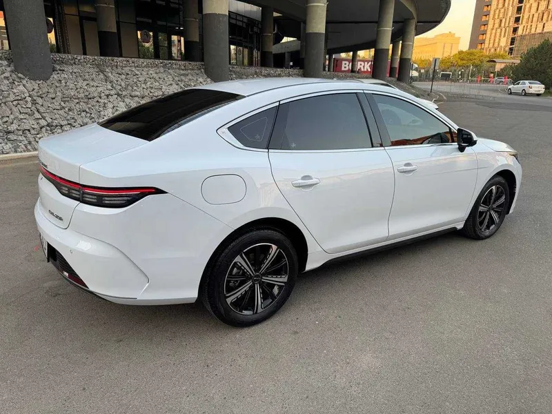 BYD Chazor Comfort 120 km 6 BYD Chazor Comfort 120 km 6
