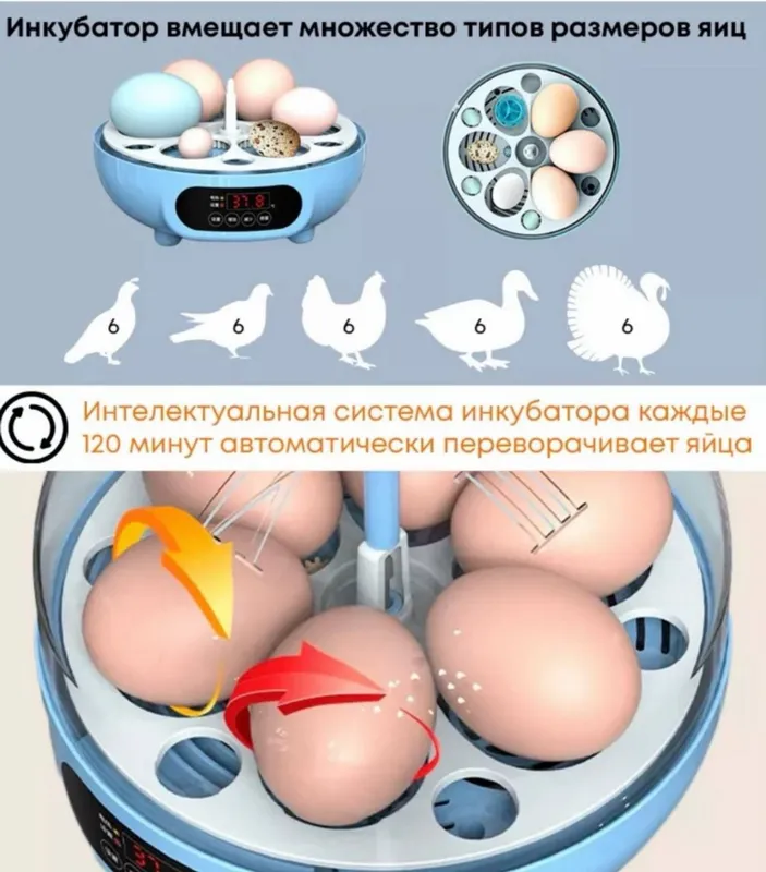 Инкубатор продаётся 3 Инкубатор продаётся 3