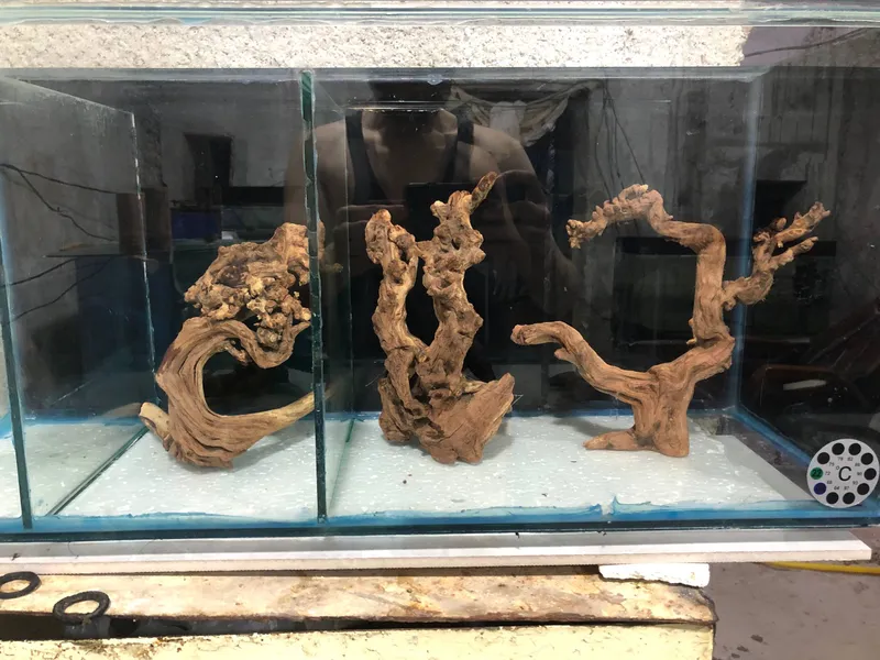 Karega Mangra