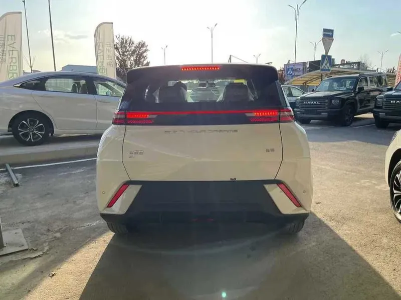 BYD Seagull Продажа за наличные и халяльная продажа в рассрочку 2 BYD Seagull Продажа за наличные и халяльная продажа в рассрочку 2