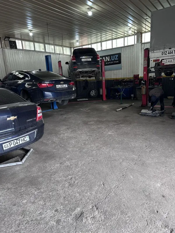 Arendag joy qora suv 6