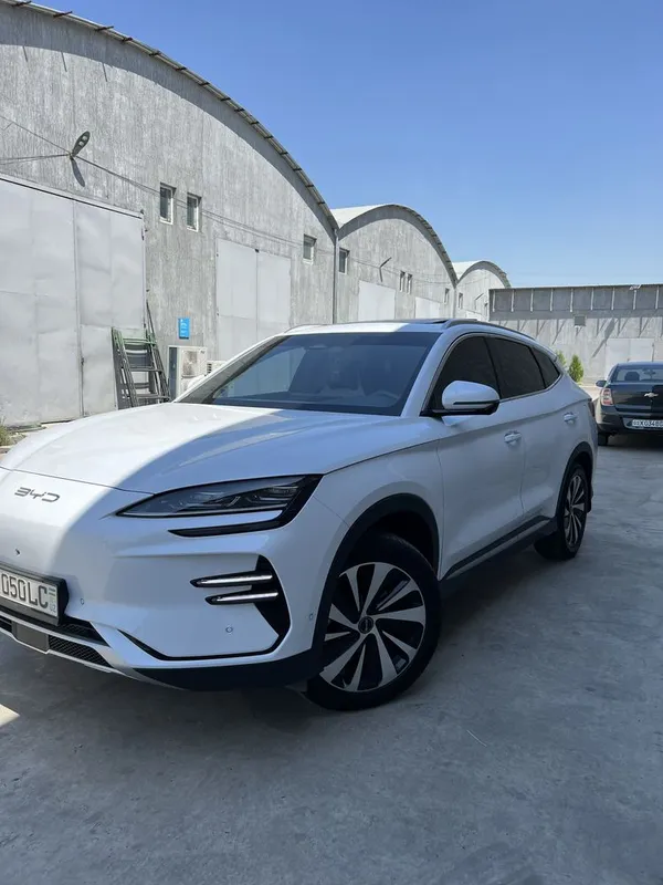 Byd song plus champion 605 3 Byd song plus champion 605 3