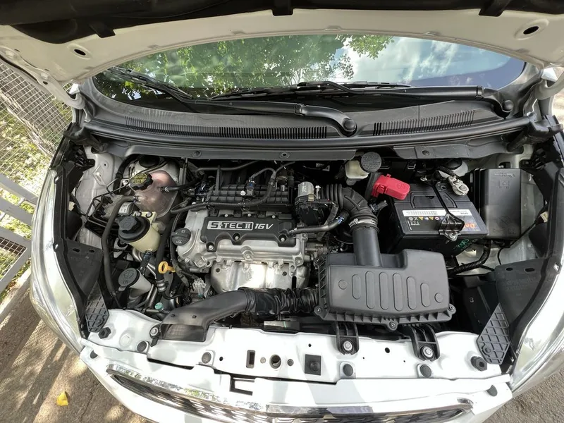 Spark optum plus 2021 5