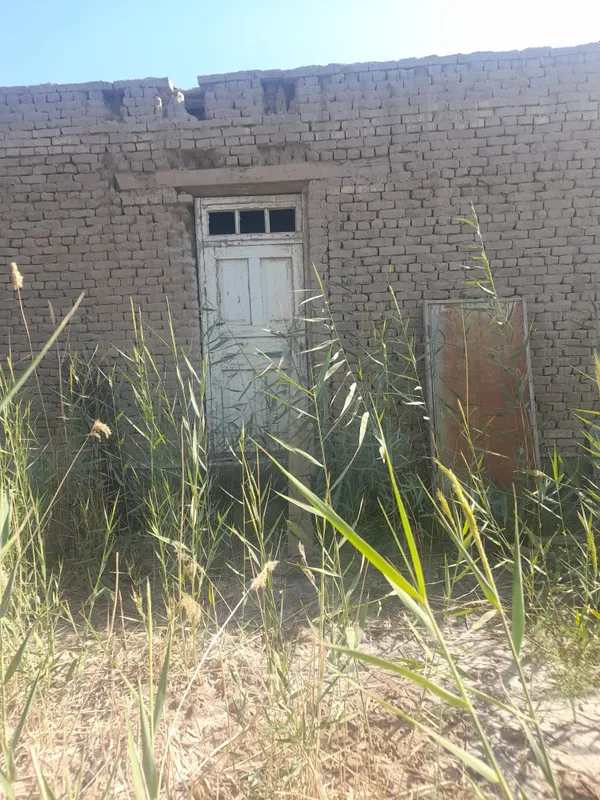 Толык питпеген жай сатылади. 1 Толык питпеген жай сатылади. 1