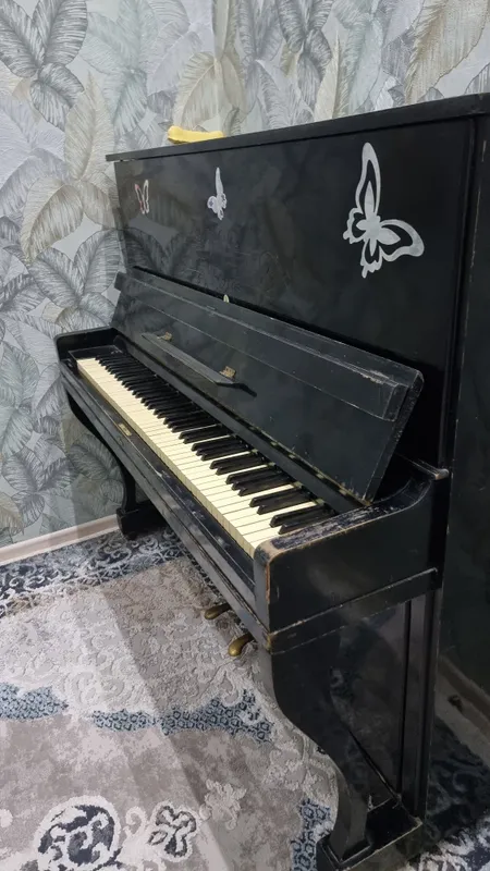 Piano Belarus Sotiladi — фото 1